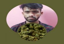 বরিশাল নগরী থেকে ৬ কেজি গাঁজা সহ আটক ১