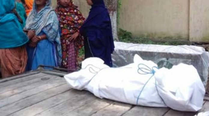 বরিশালে সর্পদংশনে ইজিবাইকচালকের মৃত্যু