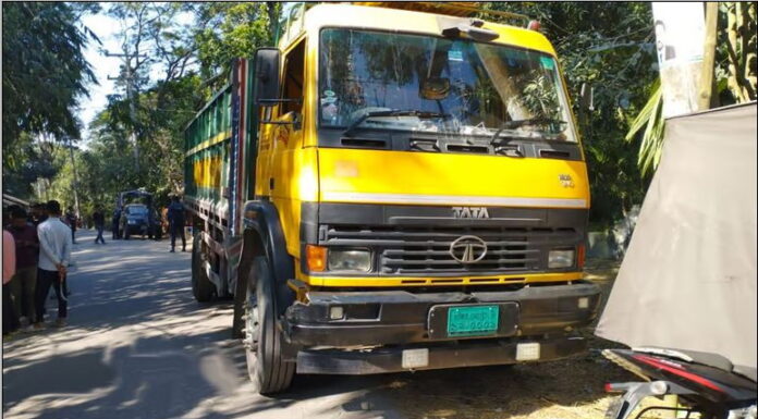 বরিশালে ইঞ্জিনচালিত ভ্যান থেকে ছিটকে অন্তঃসত্ত্বা নিহত