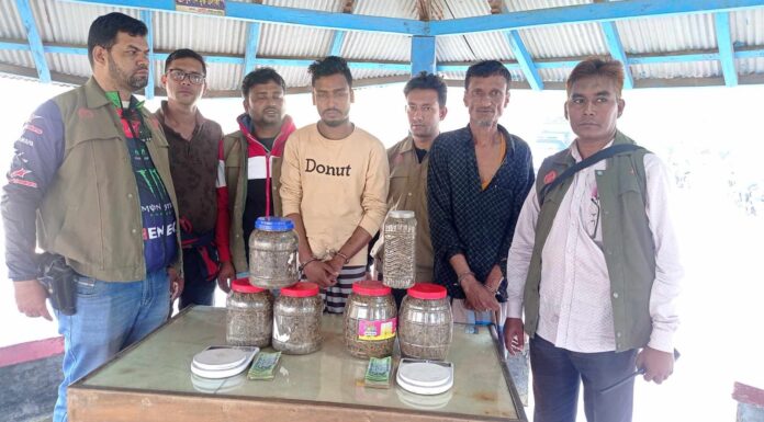 তালতলীতে গাজাসহ বাবা ছেলে আটক