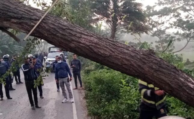 ঢাকা-বরিশাল মহাসড়কে গাছ ফেলে ২ ঘণ্টা অবরোধ