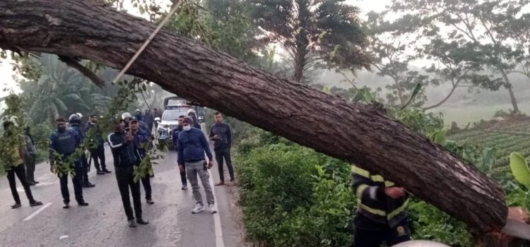 ঢাকা-বরিশাল মহাসড়কে গাছ ফেলে ২ ঘণ্টা অবরোধ