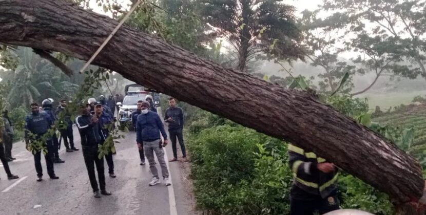 ঢাকা-বরিশাল মহাসড়কে গাছ ফেলে ২ ঘণ্টা অবরোধ