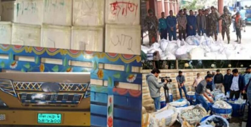 বরিশাল থেকে প্রতিদিন মৎস্য কর্মকর্তাদের উদাসীনতার কারণে কোটি টাকার ঝাটকা ইলিশ যাচ্ছে বিভিন্ন জেলায়