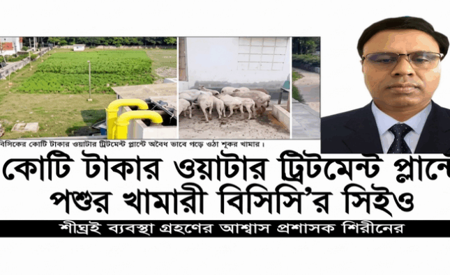 সরকারি পানির প্লান্টে ‘ব্যক্তিগত খামার’! বিসিসির সিইও’র ছত্রছায়ায় কোটি টাকার প্রকল্প দখল, জনস্বাস্থ্য হুমকিতে