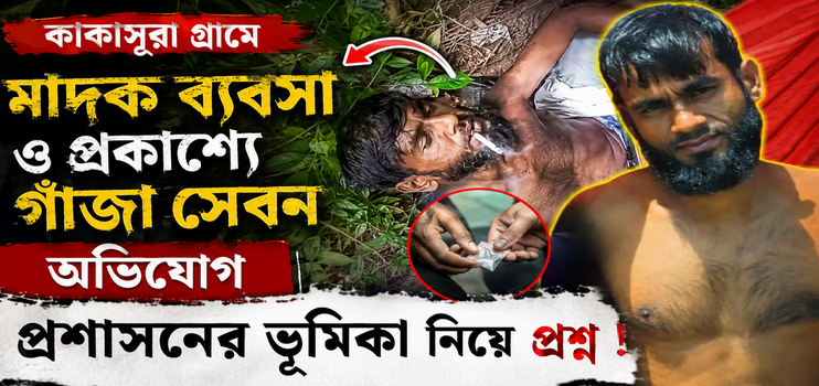 কাকাসুরা গ্রামে মাদক ব্যবসা ও প্রকাশ্যে গাঁজা সেবনের অভিযোগ, প্রশাসনের ভূমিকা নিয়ে প্রশ্ন