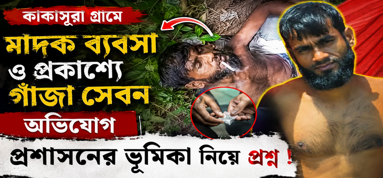 কাকাসুরা গ্রামে মাদক ব্যবসা ও প্রকাশ্যে গাঁজা সেবনের অভিযোগ, প্রশাসনের ভূমিকা নিয়ে প্রশ্ন