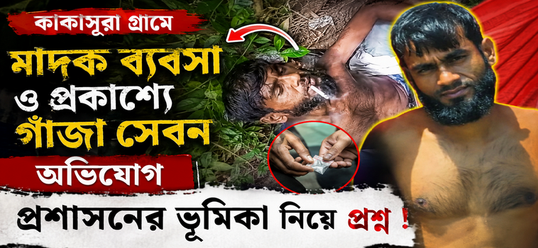 কাকাসুরা গ্রামে মাদক ব্যবসা ও প্রকাশ্যে গাঁজা সেবনের অভিযোগ, প্রশাসনের ভূমিকা নিয়ে প্রশ্ন
