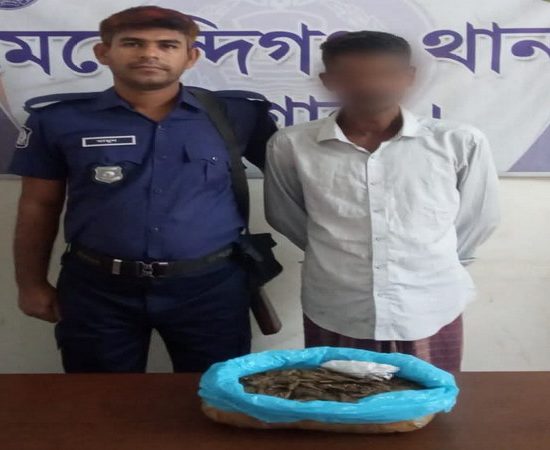 মেহেন্দীগঞ্জে ১ কেজি গাঁজাসহ মাদক ব্যবসায়ী আটক