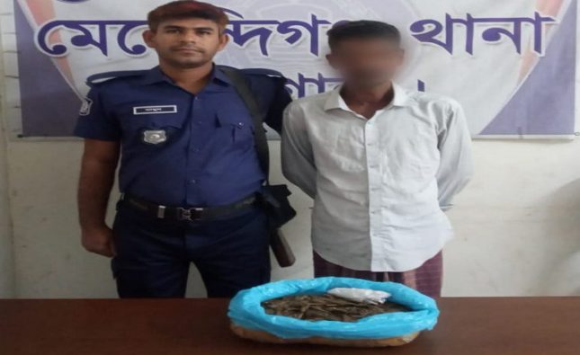 মেহেন্দীগঞ্জে ১ কেজি গাঁজাসহ মাদক ব্যবসায়ী আটক