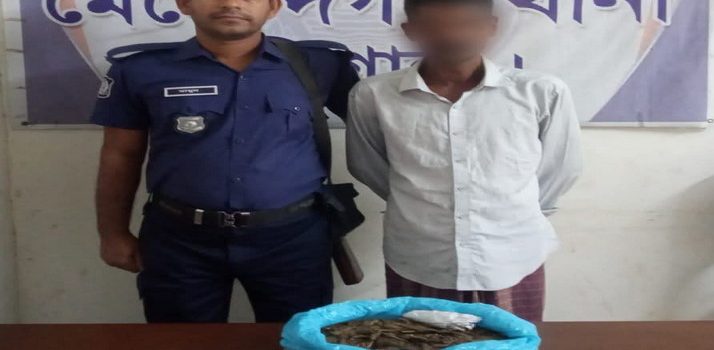 মেহেন্দীগঞ্জে ১ কেজি গাঁজাসহ মাদক ব্যবসায়ী আটক