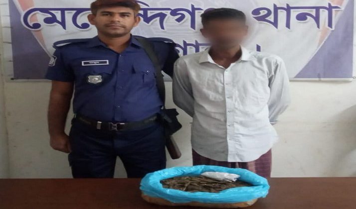 মেহেন্দীগঞ্জে ১ কেজি গাঁজাসহ মাদক ব্যবসায়ী আটক