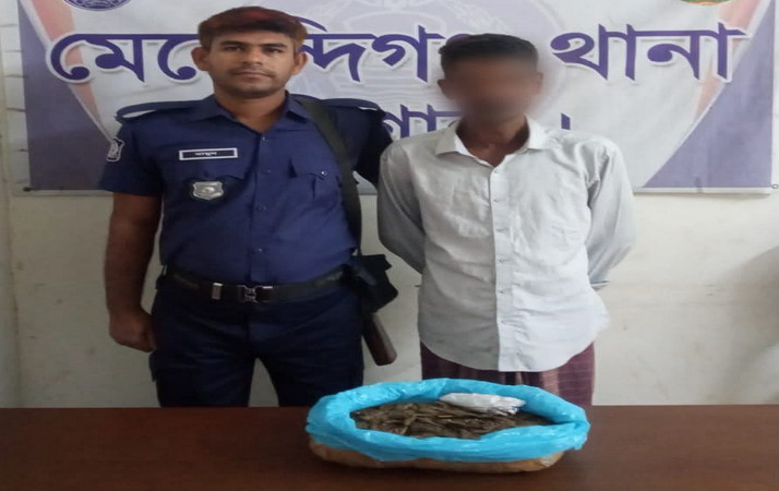 মেহেন্দীগঞ্জে ১ কেজি গাঁজাসহ মাদক ব্যবসায়ী আটক