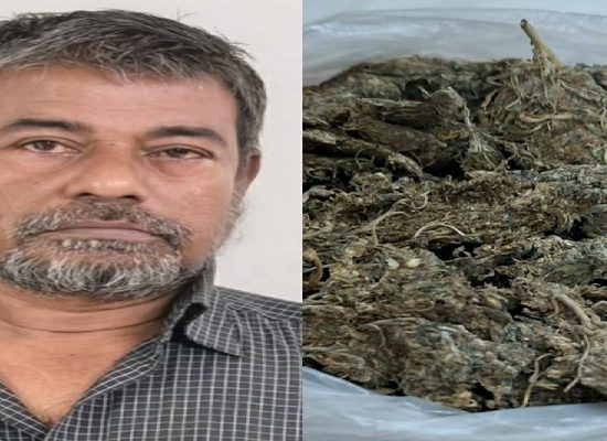 মাদকবিরোধী অভিযানে ৪০০ গ্রাম গাঁজাসহ গ্রেফতার ১