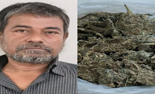 মাদকবিরোধী অভিযানে ৪০০ গ্রাম গাঁজাসহ গ্রেফতার ১