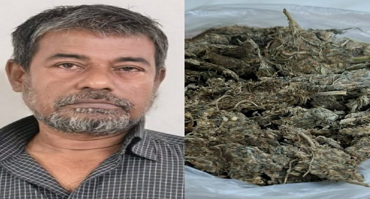 মাদকবিরোধী অভিযানে ৪০০ গ্রাম গাঁজাসহ গ্রেফতার ১