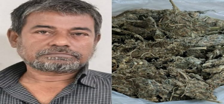 মাদকবিরোধী অভিযানে ৪০০ গ্রাম গাঁজাসহ গ্রেফতার ১