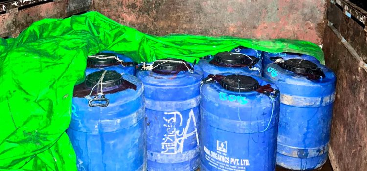 বরিশালে ১৩ ব্যারেল রেণু পোনা জব্দ, নদীতে অবমুক্ত